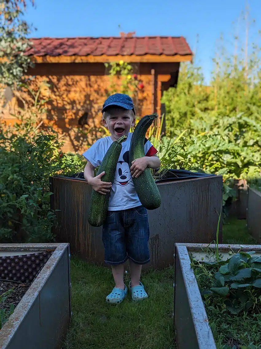 potager-baguettes-sensitives