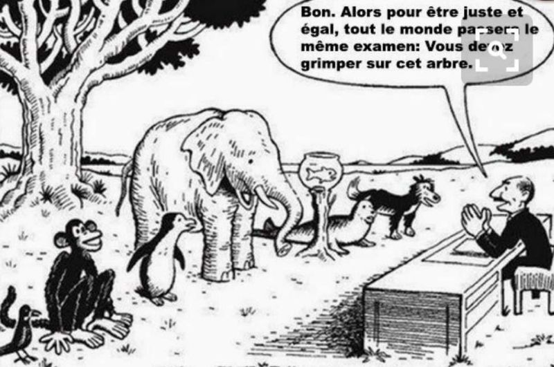 examen-ressentis exercice et exament pour valider nos ressentis